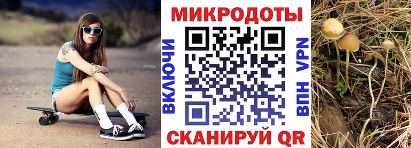 Псилоцибиновые грибы прущие грибы  блэк спрут маркетплейс  Жиздра 